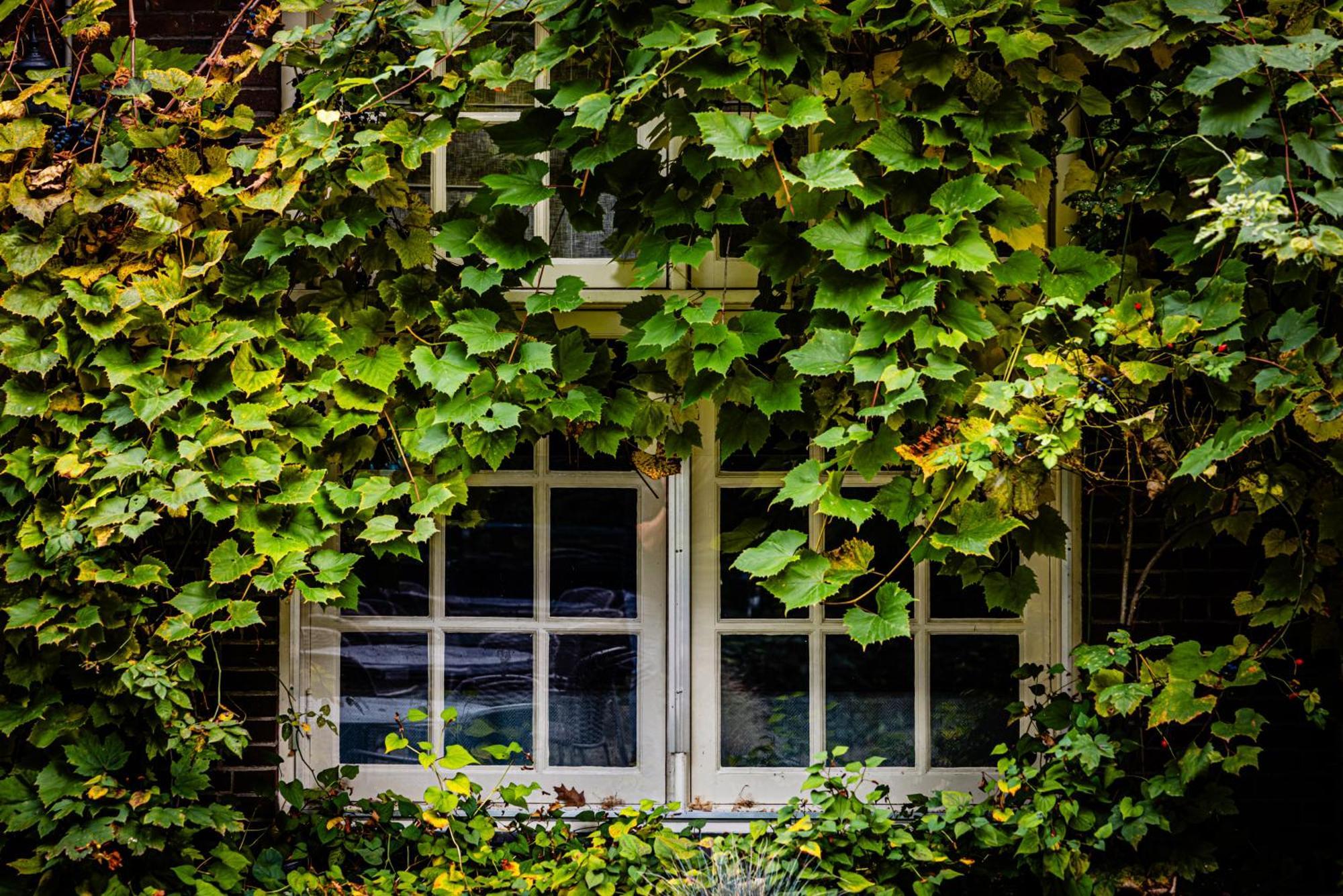Kasteel Kerckebosch Hotel Zeist Luaran gambar